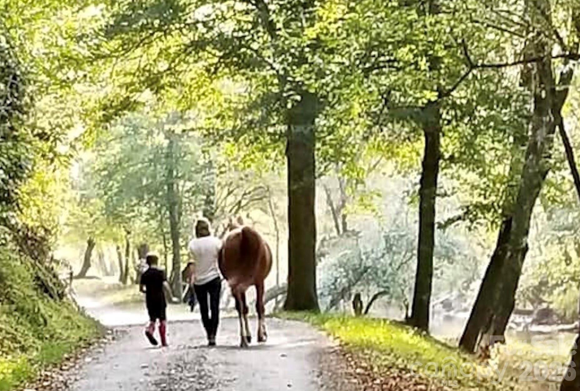 The Coves Mountain River Club - Land