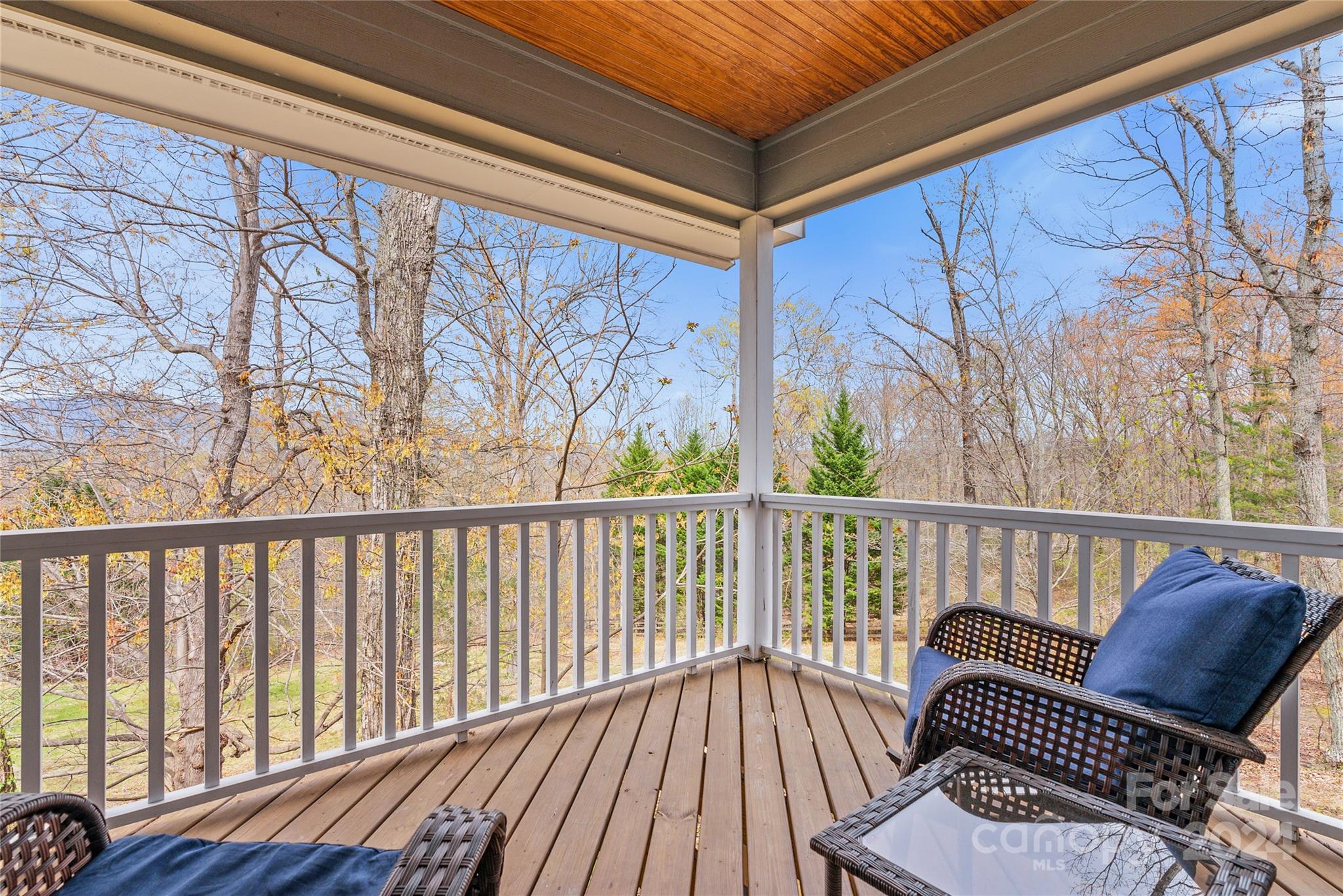 Lake Lanier - Residential