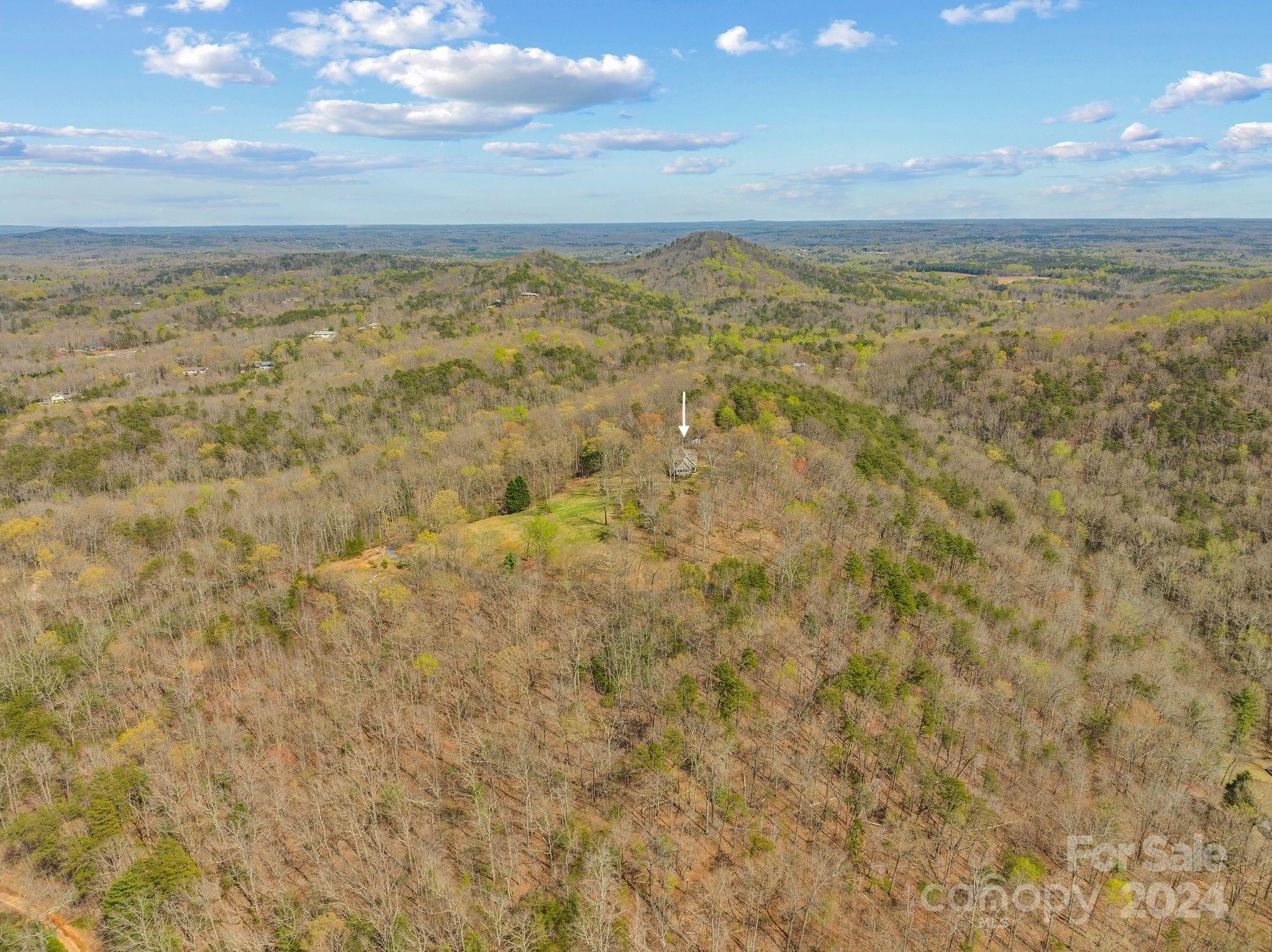Lake Lanier - Residential