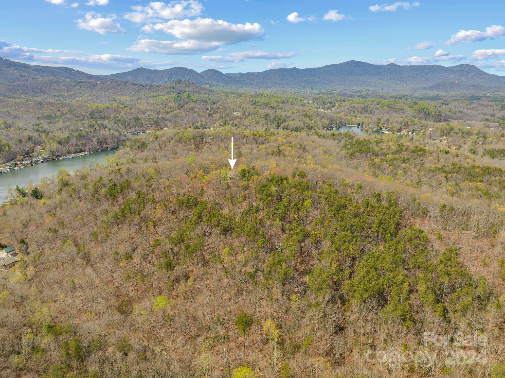 Lake Lanier - Residential