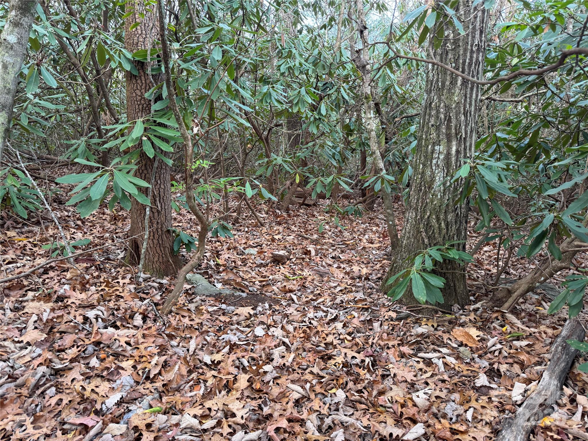 99999 Shenandoah Terrace