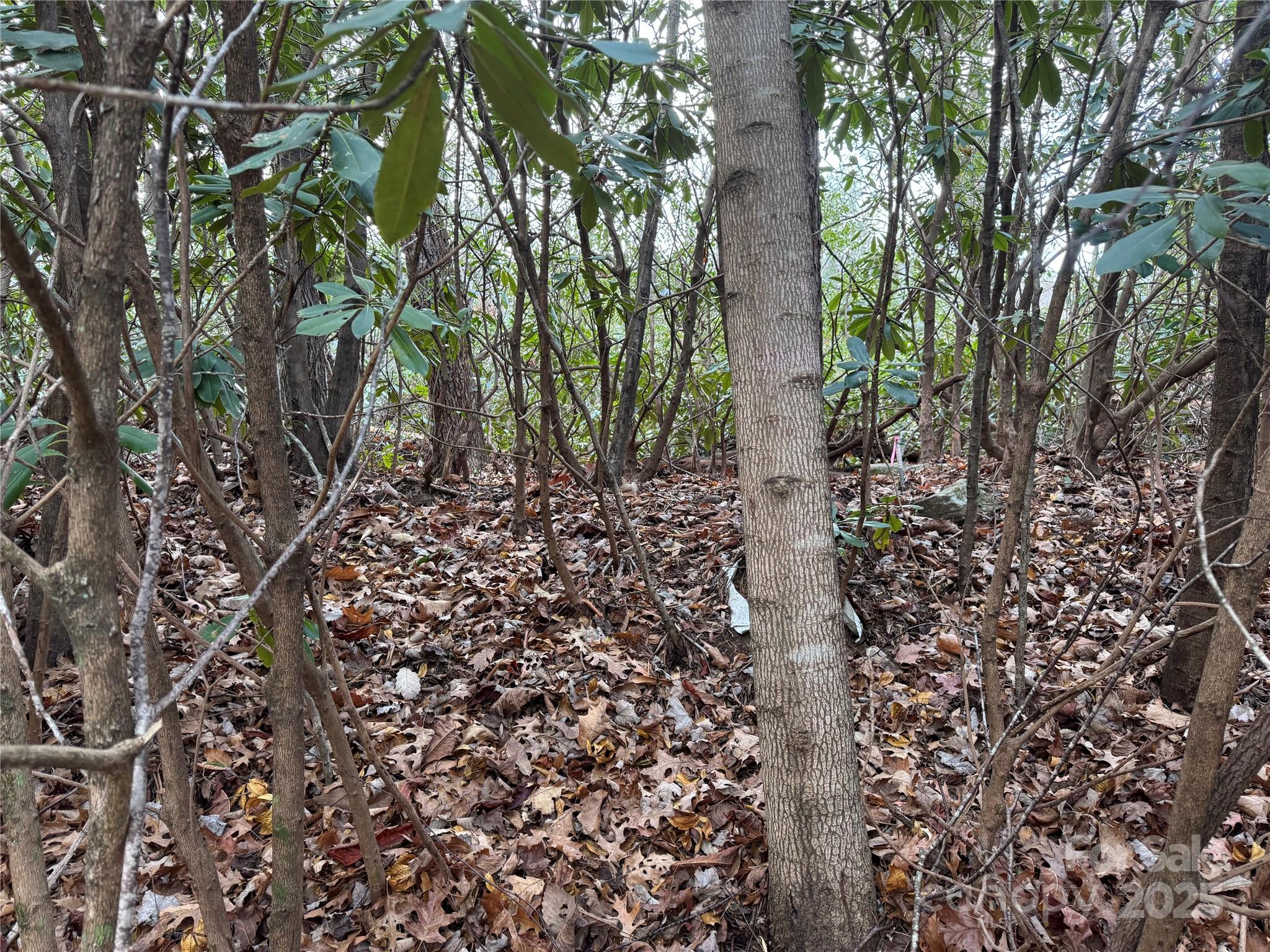 99999 Shenandoah Terrace