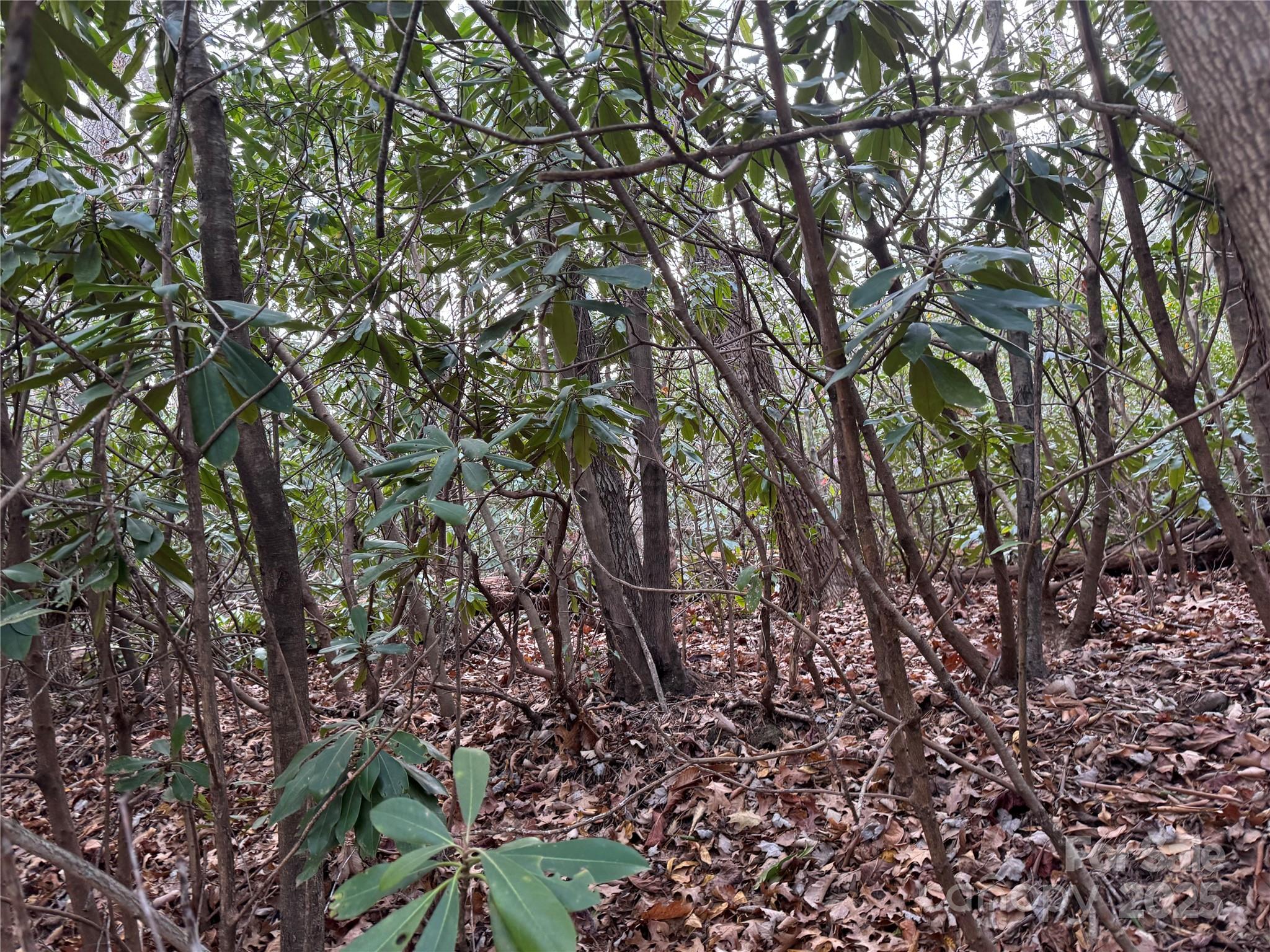 99999 Shenandoah Terrace