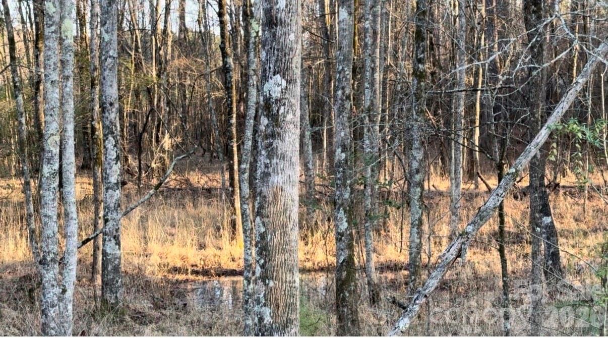 Riverchase Estates - Land