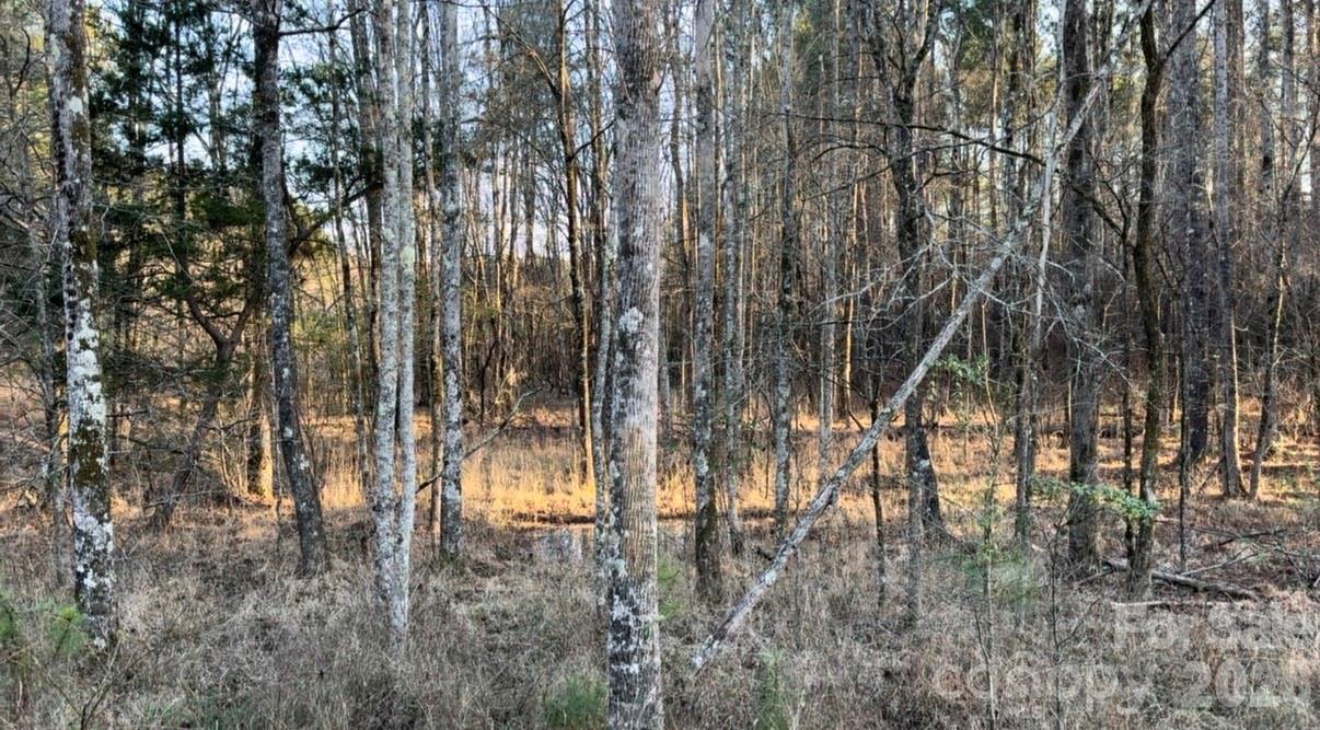 Riverchase Estates - Land