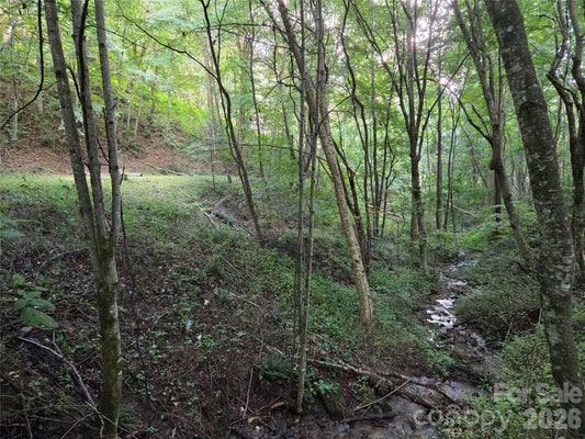 3 CREEKSIDE DR, MAGGIE VALLEY, NC 28751 - Image df0b7ee341aec8a60267f2d124c30be9/3461101891