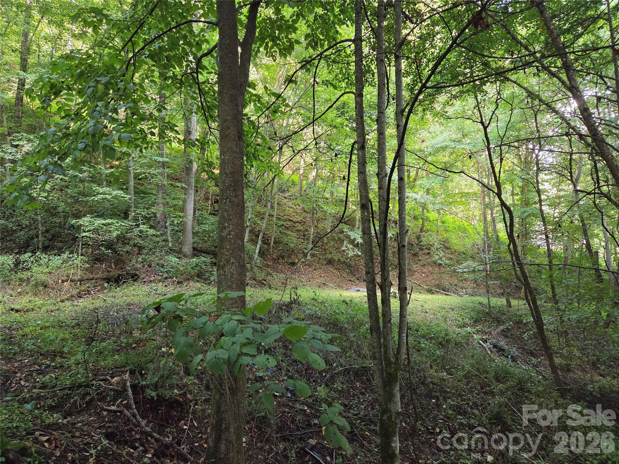 00 Creekside Drive