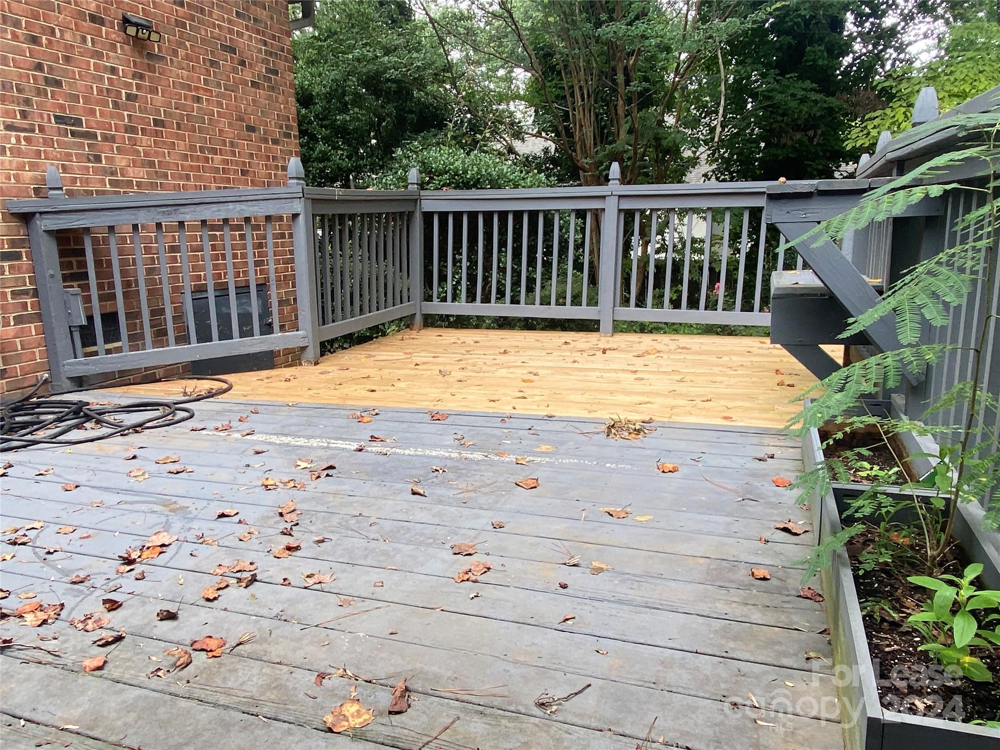 Forest Hills - Residential Lease