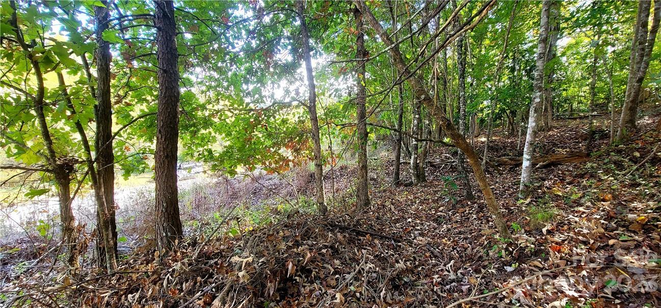 Riverbend at Lake Lure - Land