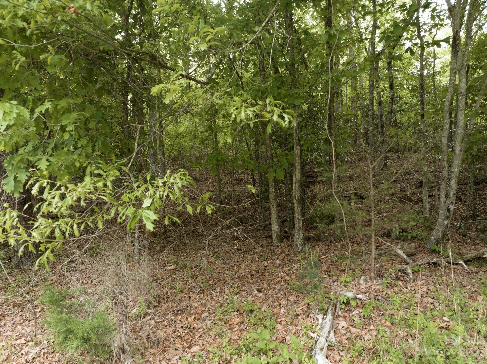 Riverbend at Lake Lure - Land