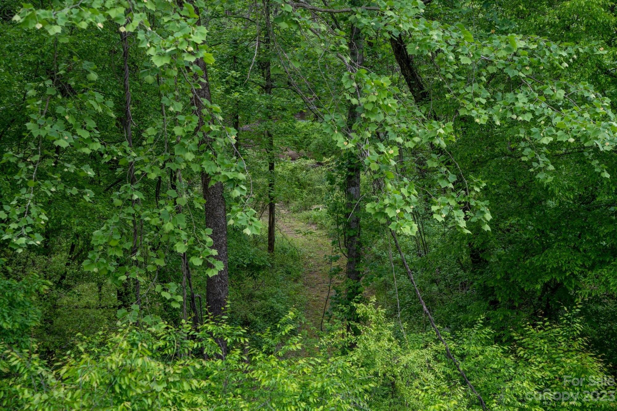 Riverbend at Lake Lure - Land