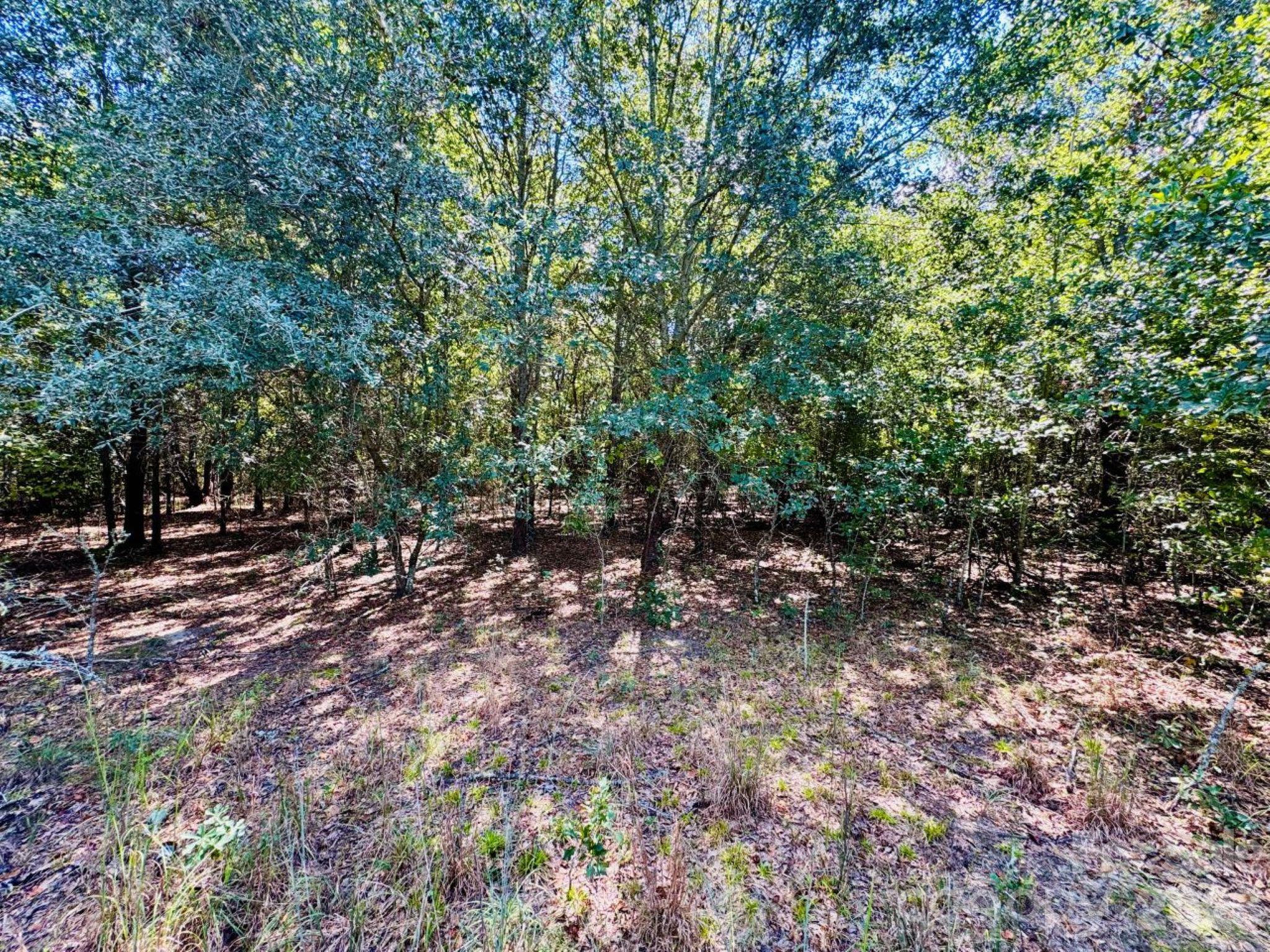 Lot 166 Brangus Lane