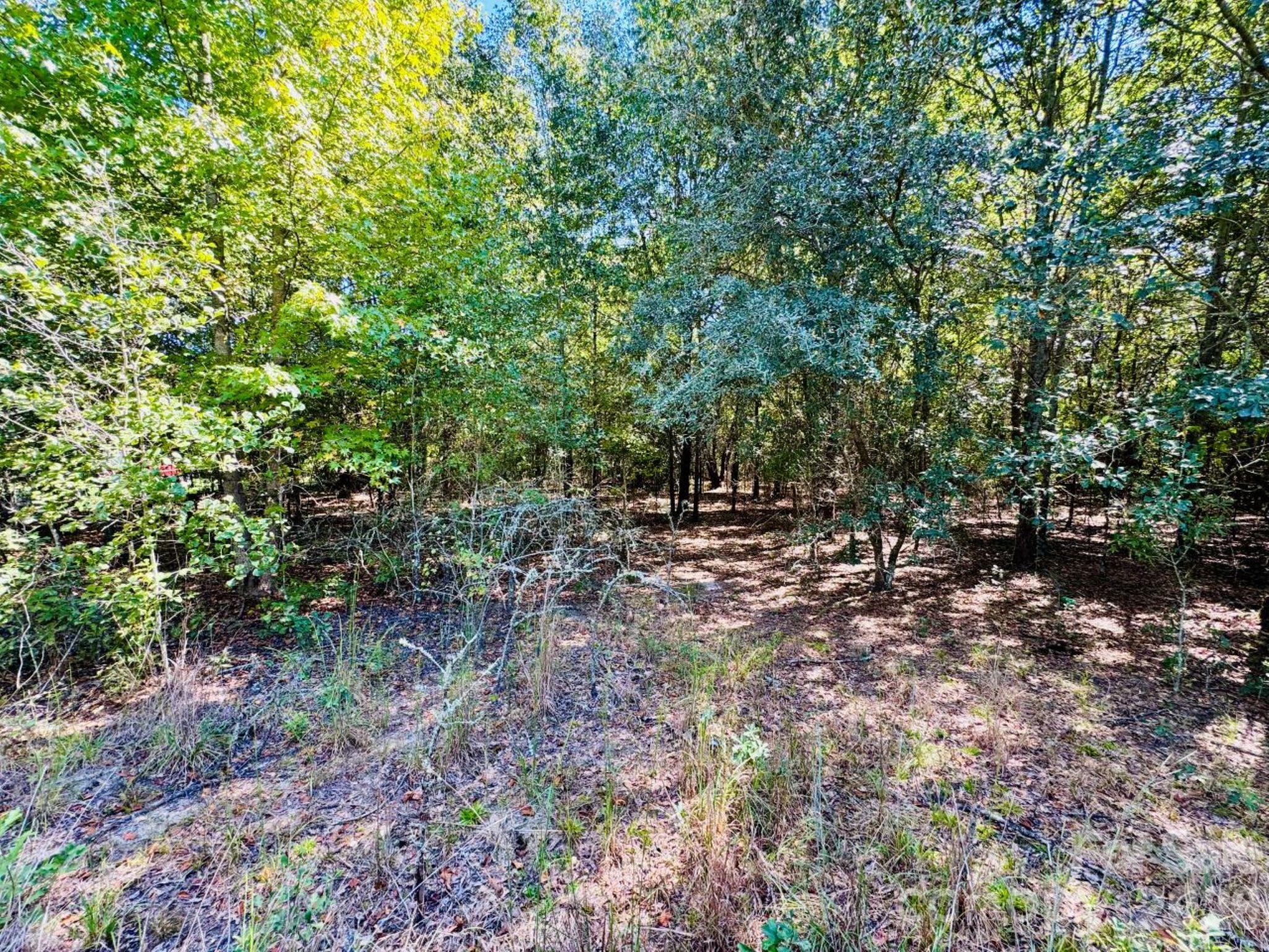 Lot 166 Brangus Lane