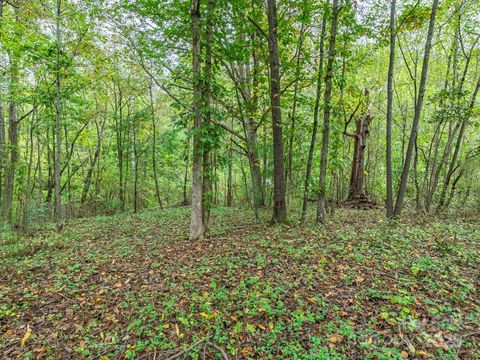 Photo of 99999 Hummingbird Lane, Asheville, NC 28806 (MLS # 4311461)