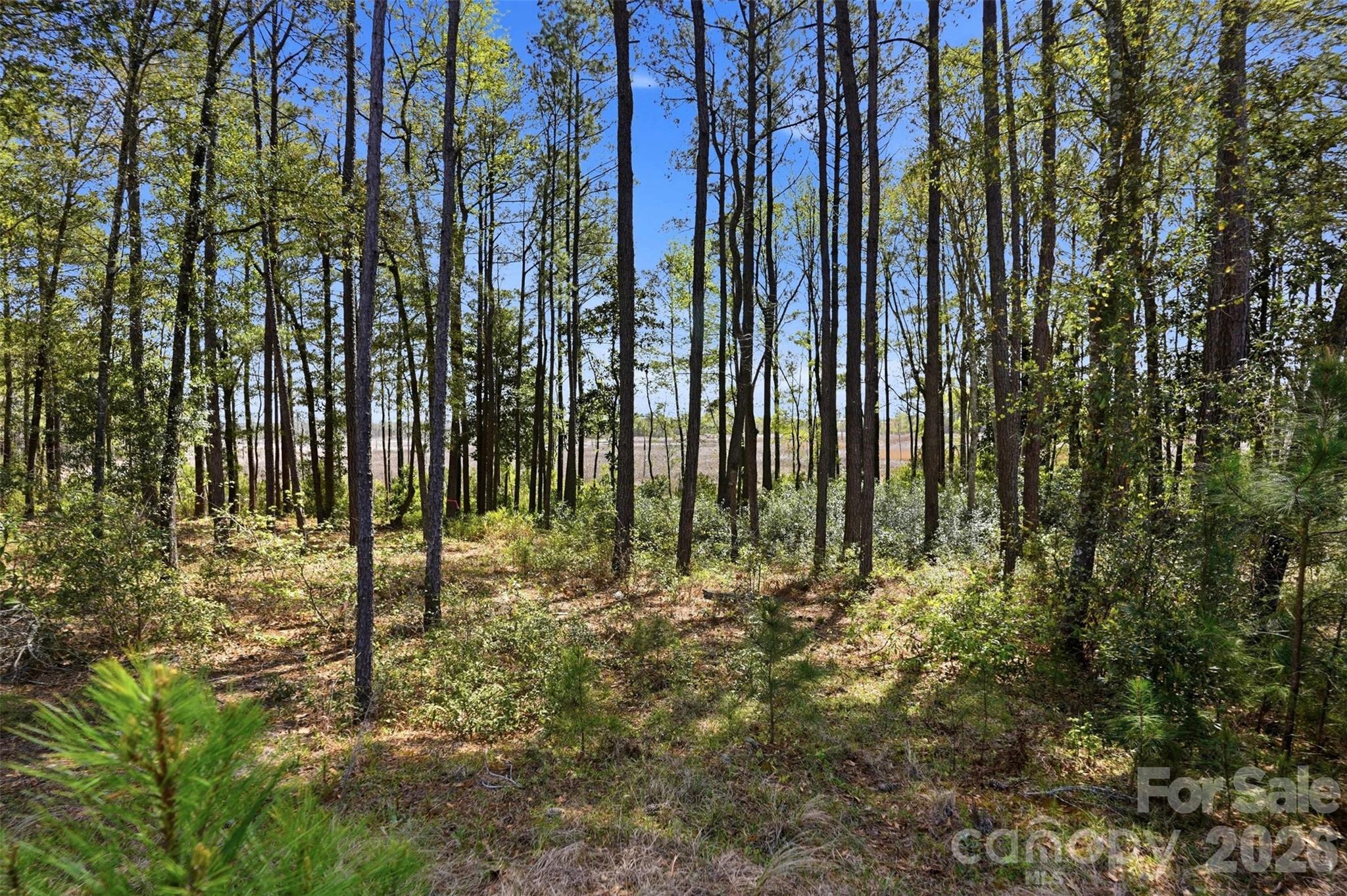 1624 Heron View Drive