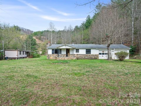 2432 Grapevine Road Marshall NC 28753