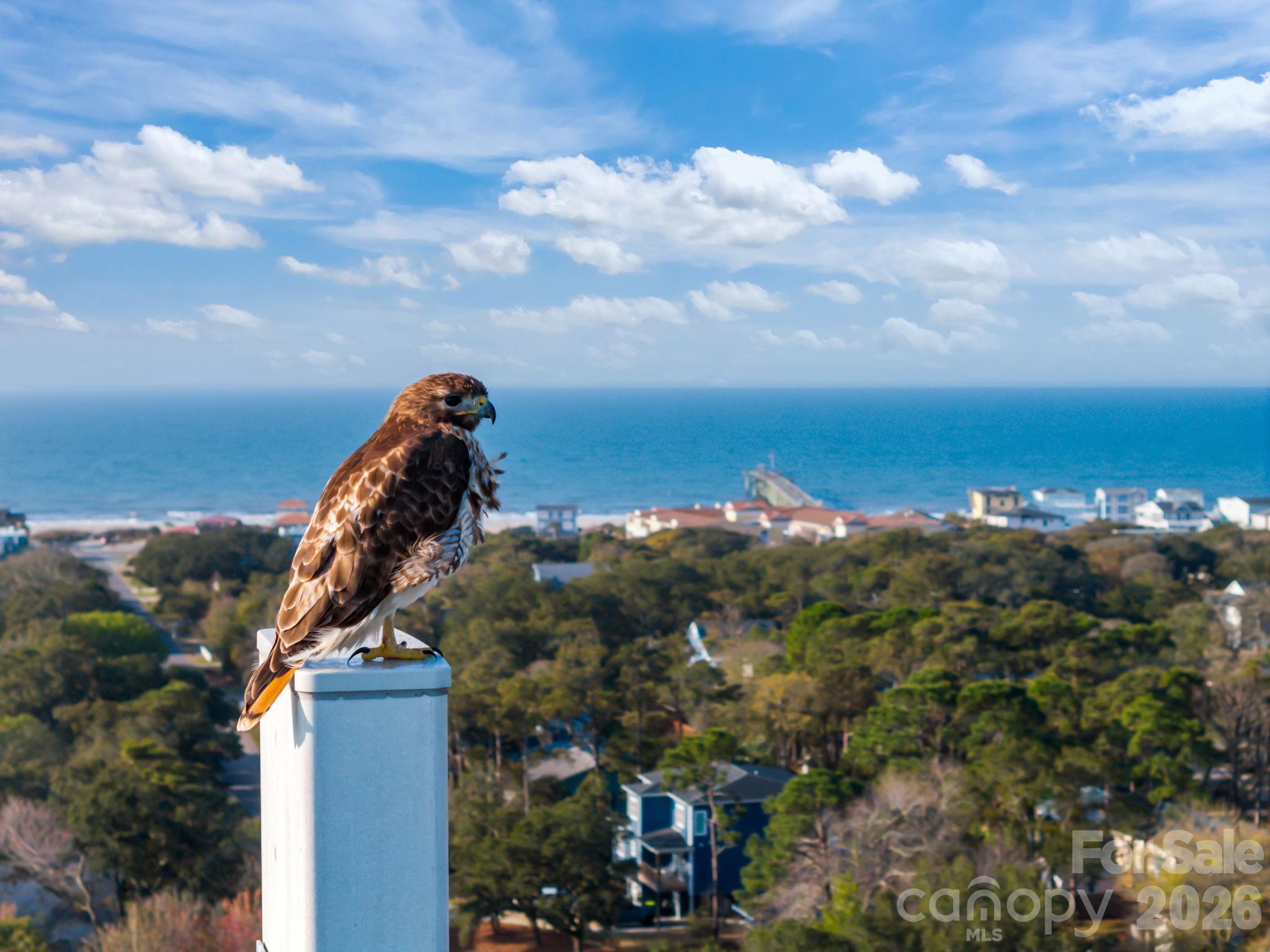Tranquil Harbor - Residential