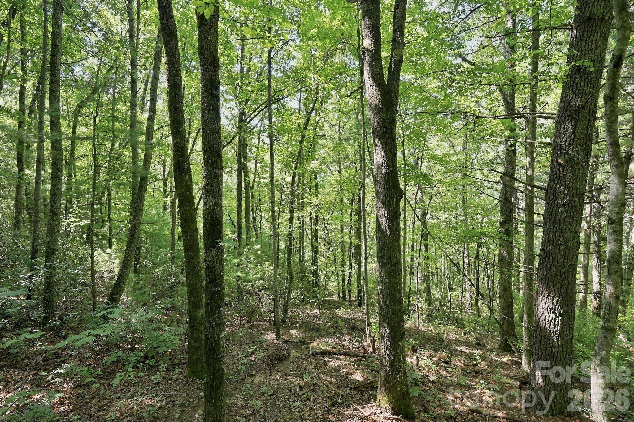LOT 6 HIGHLANDS GATE Drive