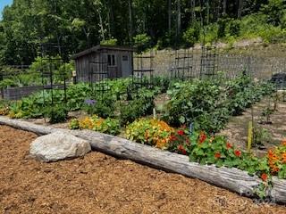 Couch Mountain - Land