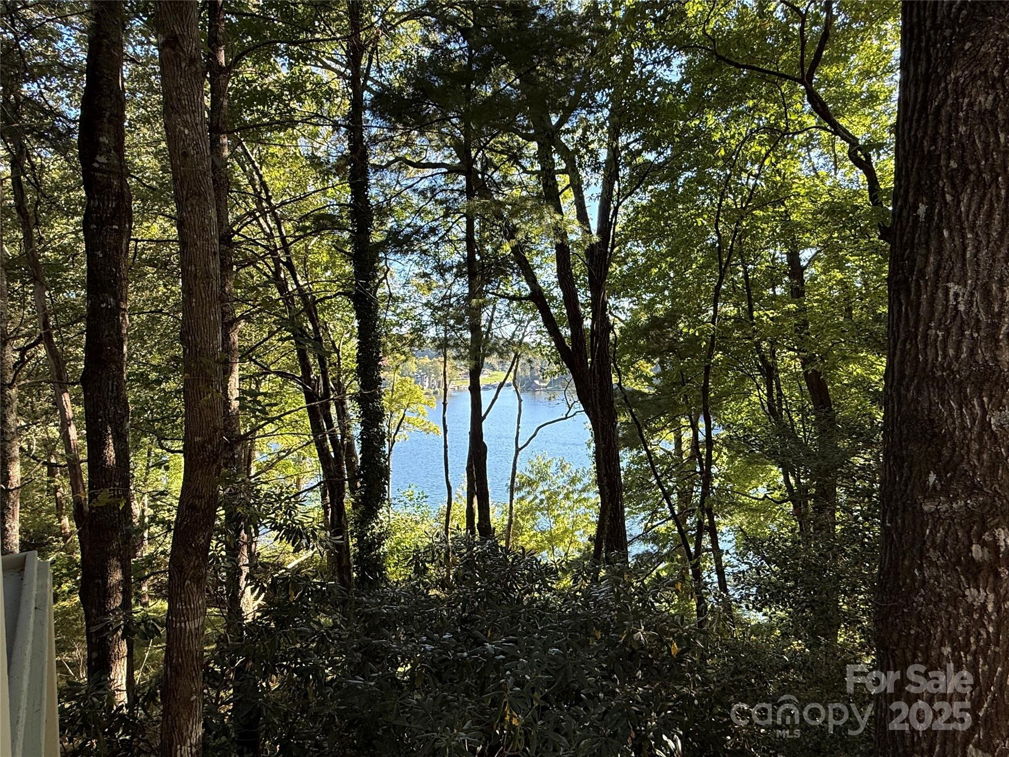 1957 Cold Mountain Road