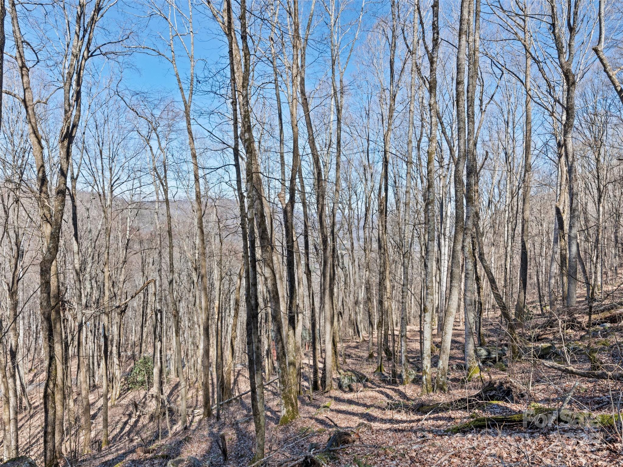 Apple Creek Acres - Land