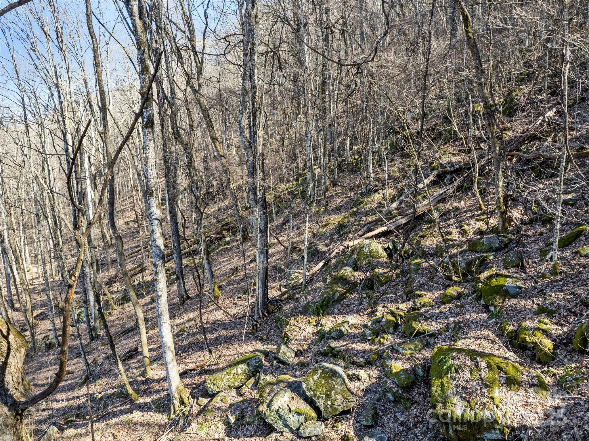 Apple Creek Acres - Land