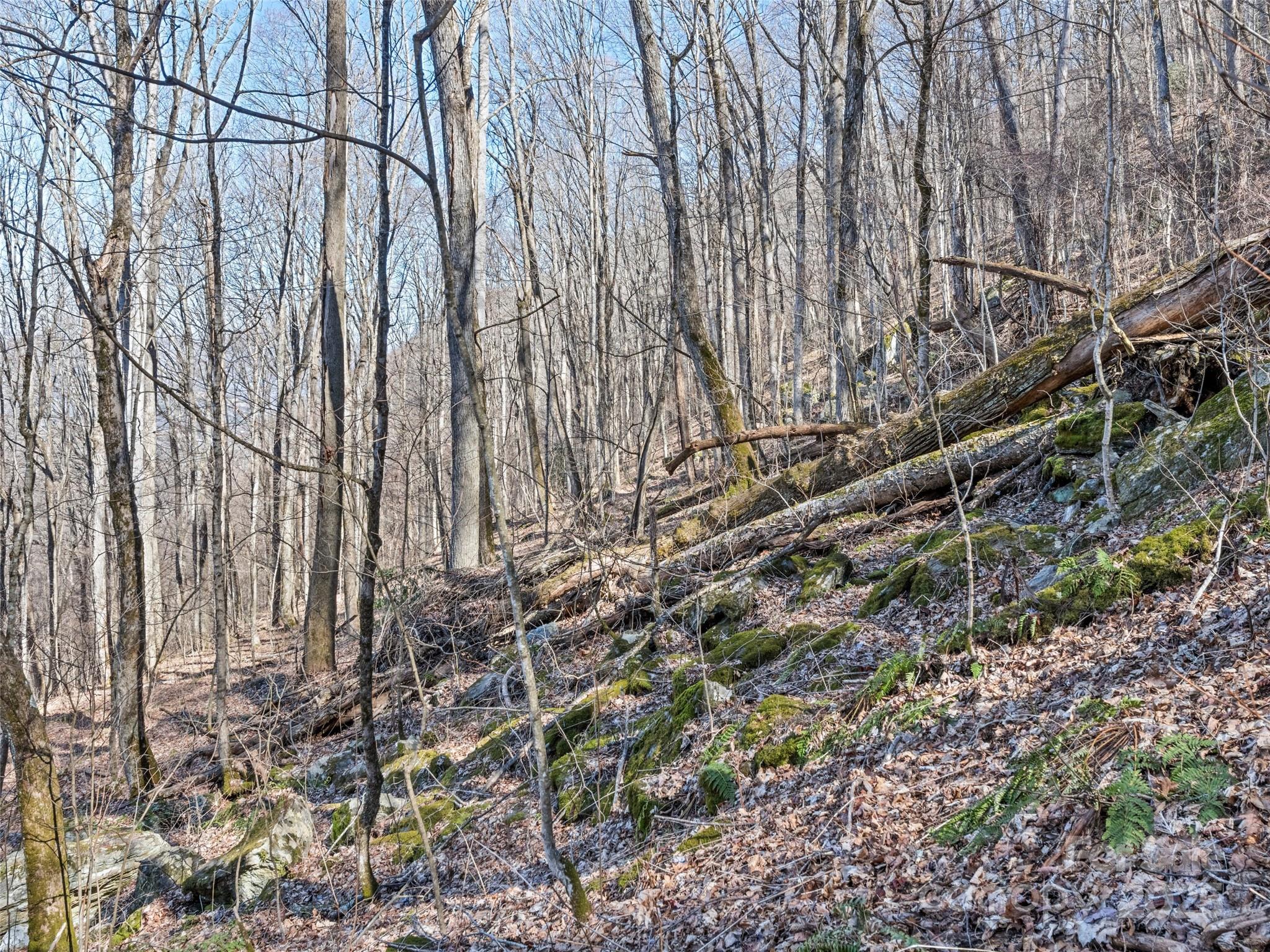 Apple Creek Acres - Land