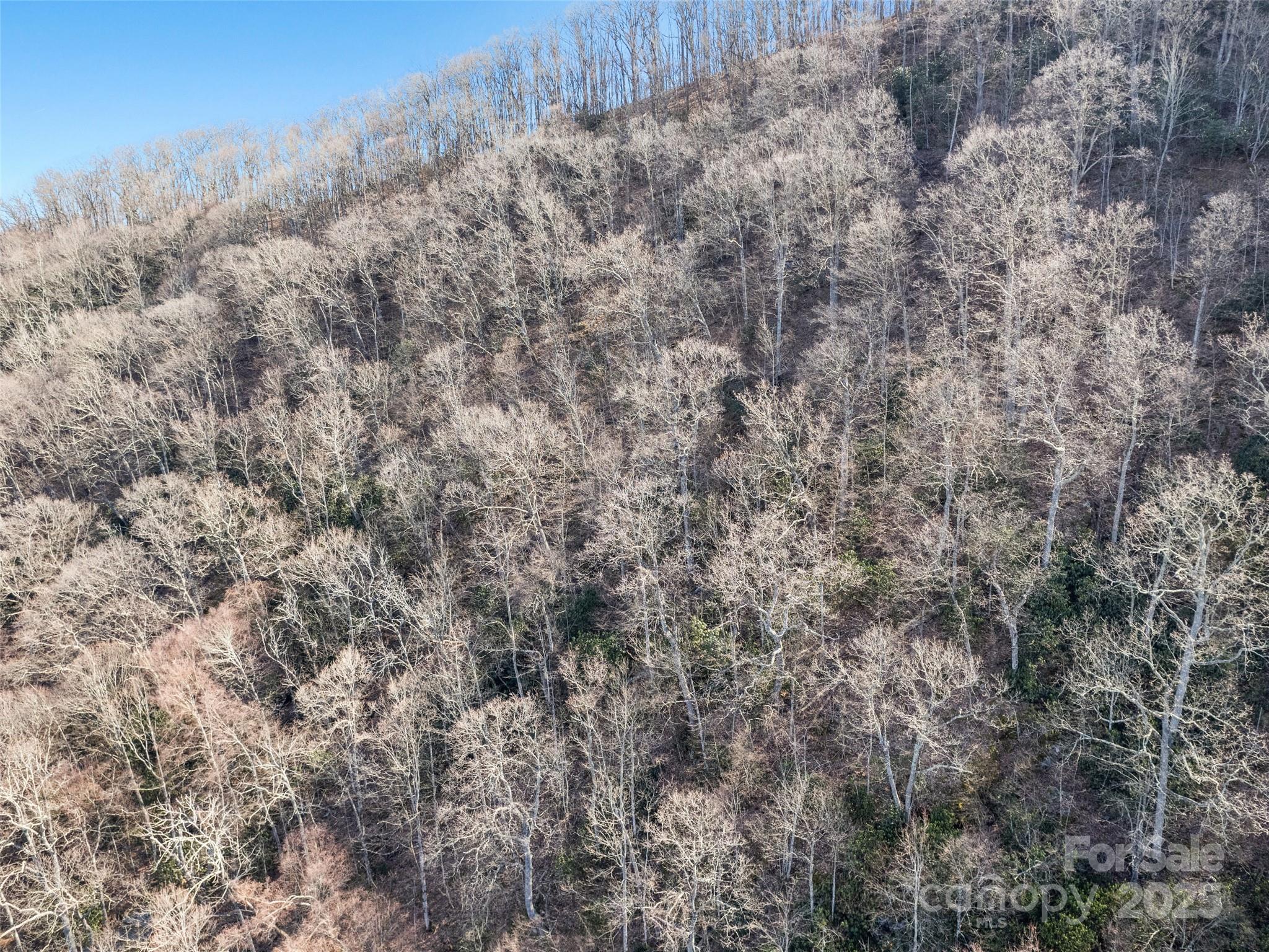 Apple Creek Acres - Land