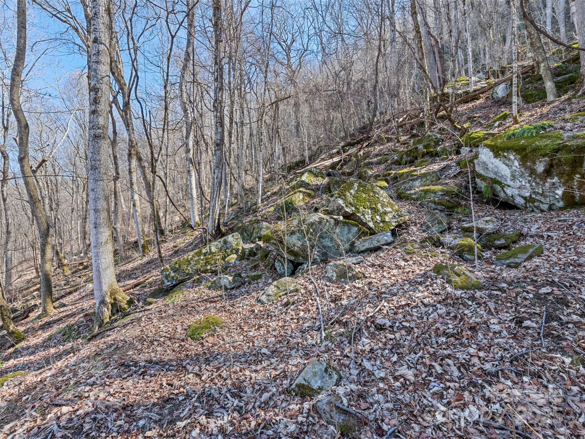 Apple Creek Acres - Land