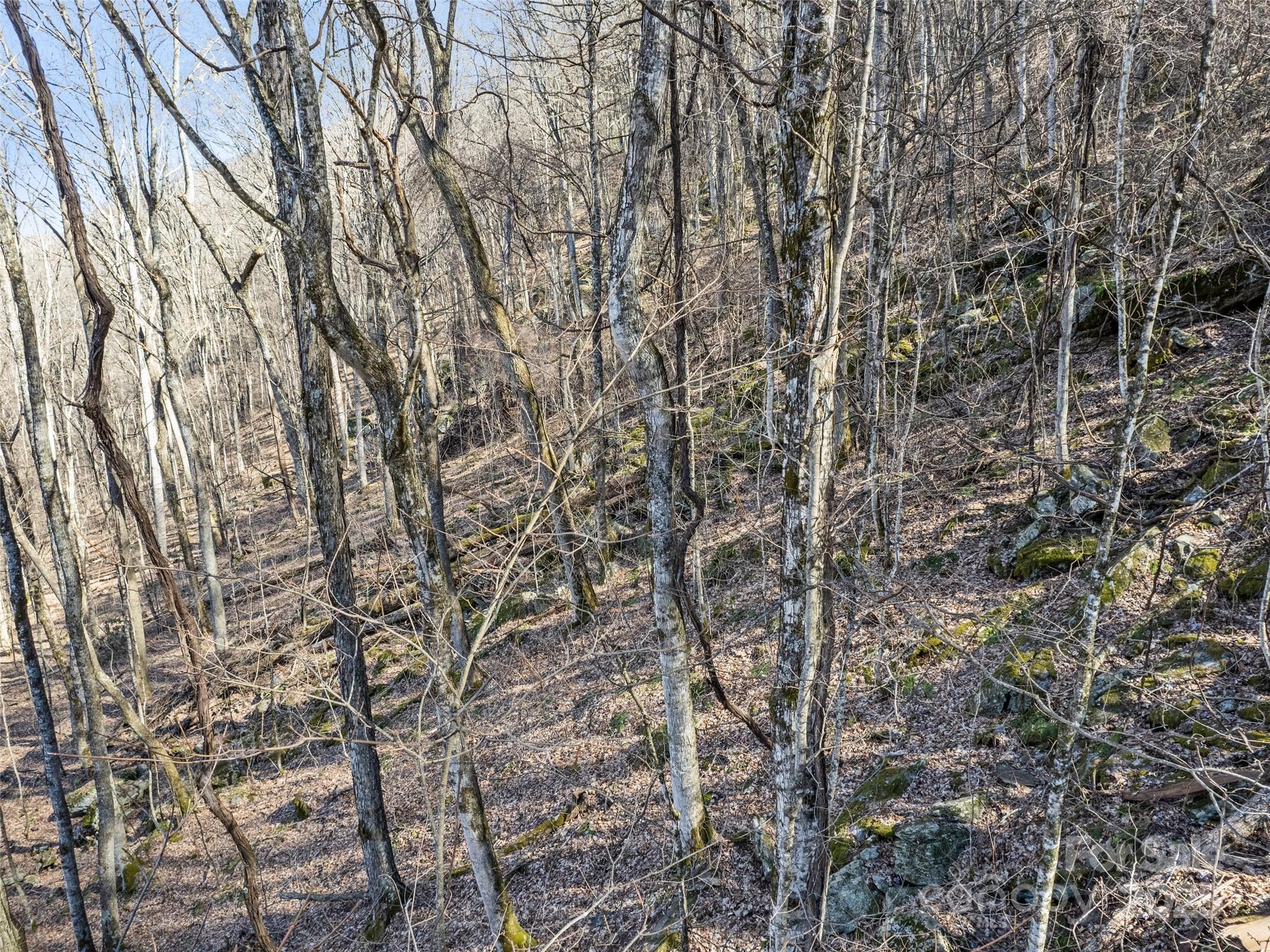 Apple Creek Acres - Land