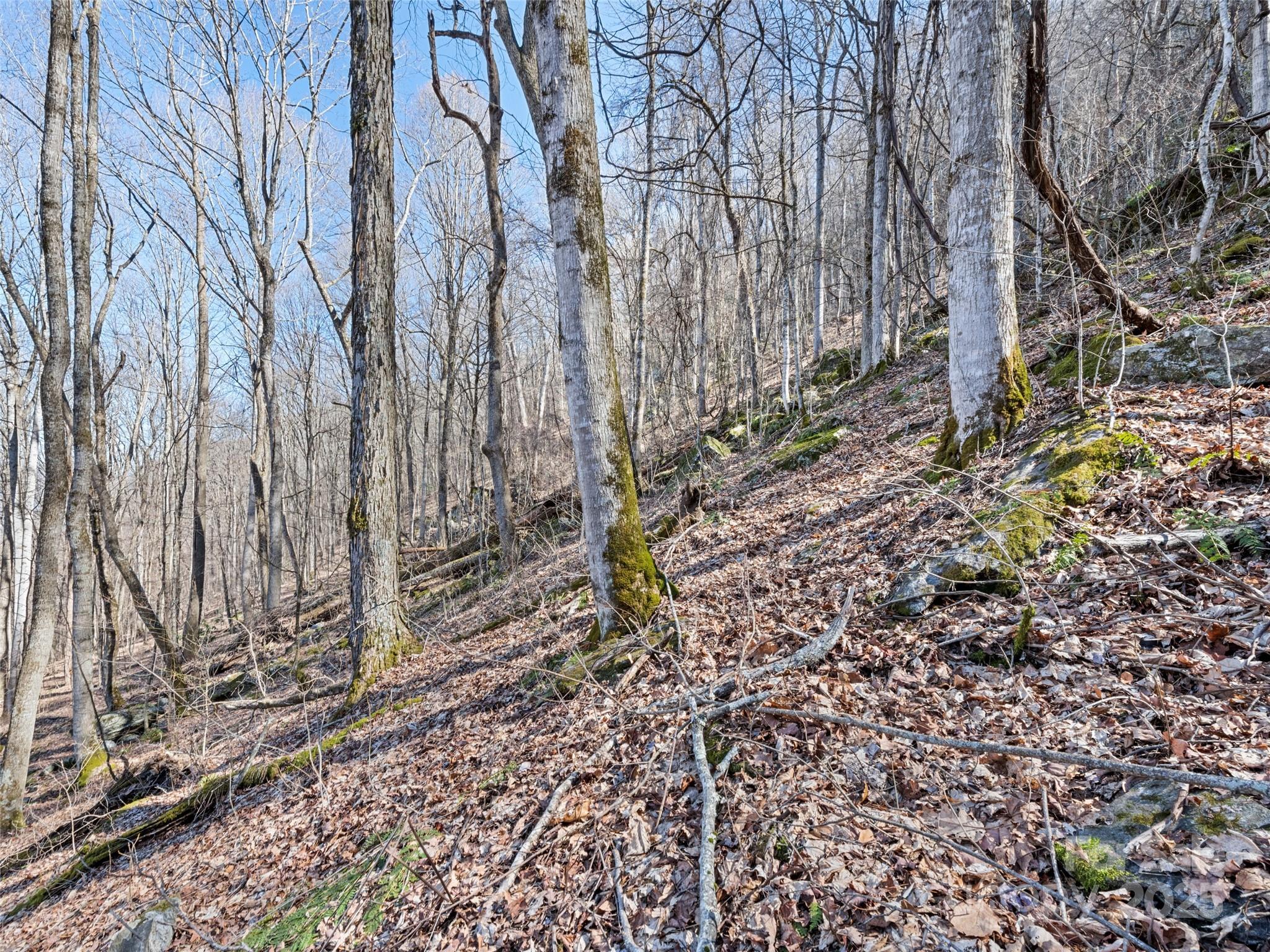 Apple Creek Acres - Land