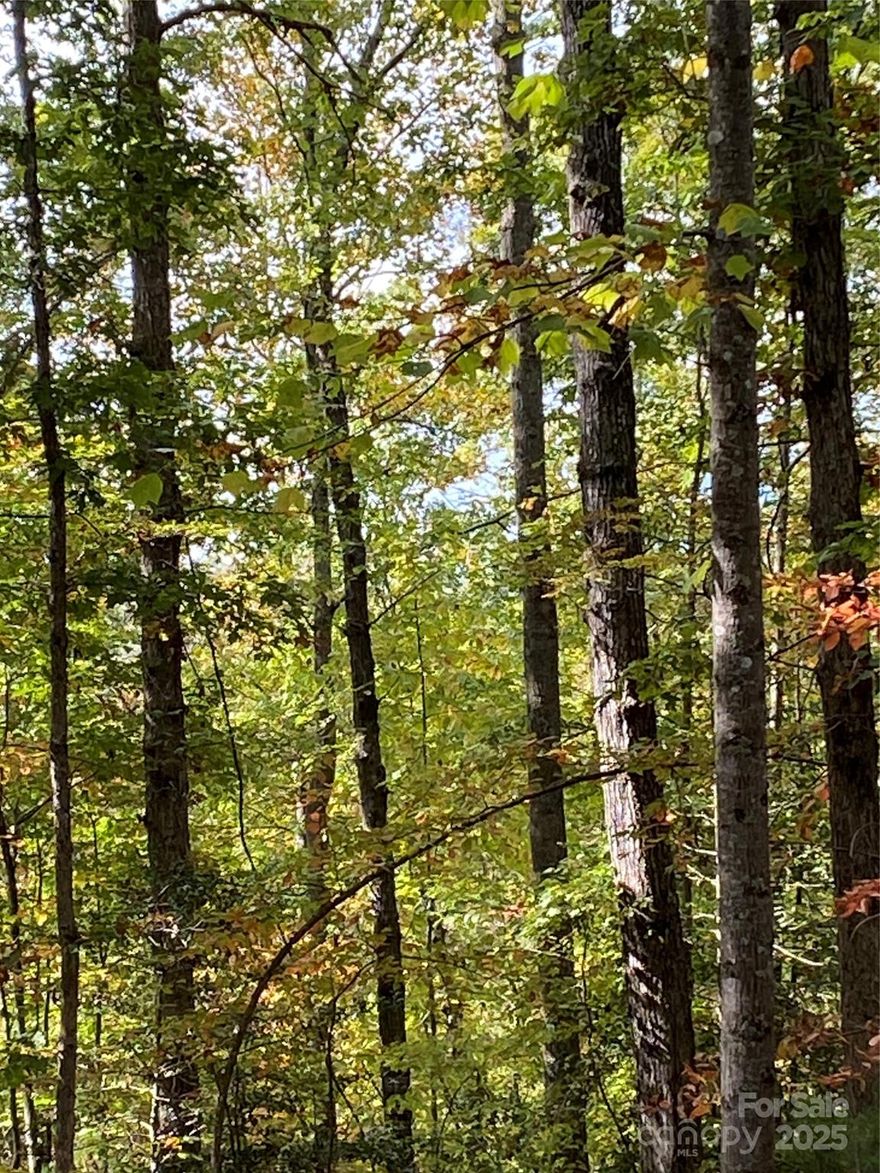 Nestled between the Blue Ridge Mountains and the South Mountains of Western North Carolina is the beautiful log home community of Hidden Lake. Behind the entrance gates are hiking trails, a fishing and paddling lake, and a lakeside pool with changing rooms and showers. There is a floating dock, boardwalk and racks for your kayaks and canoes. The lot is gently sloping with several potential building sites.The property has nice trees and paved road frontage.There are year round views and close proximity to hospitals, schools, restaurants and I-40. The towns of Marion, Morganton, and Black Mountain. Asheville and Hickory are also nearby. Make Hidden Lake the perfect place to make your NC Mountain dreams come true.