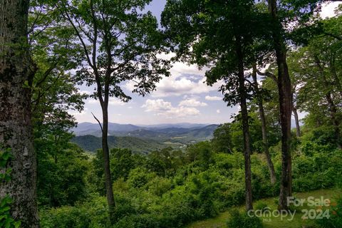 A home in Spruce Pine