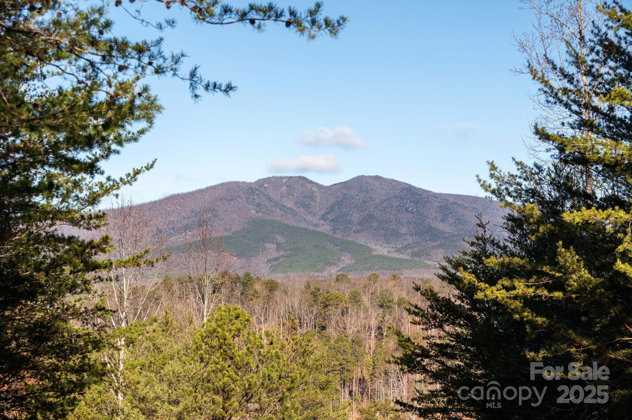 The Arbor at Lake James - Land