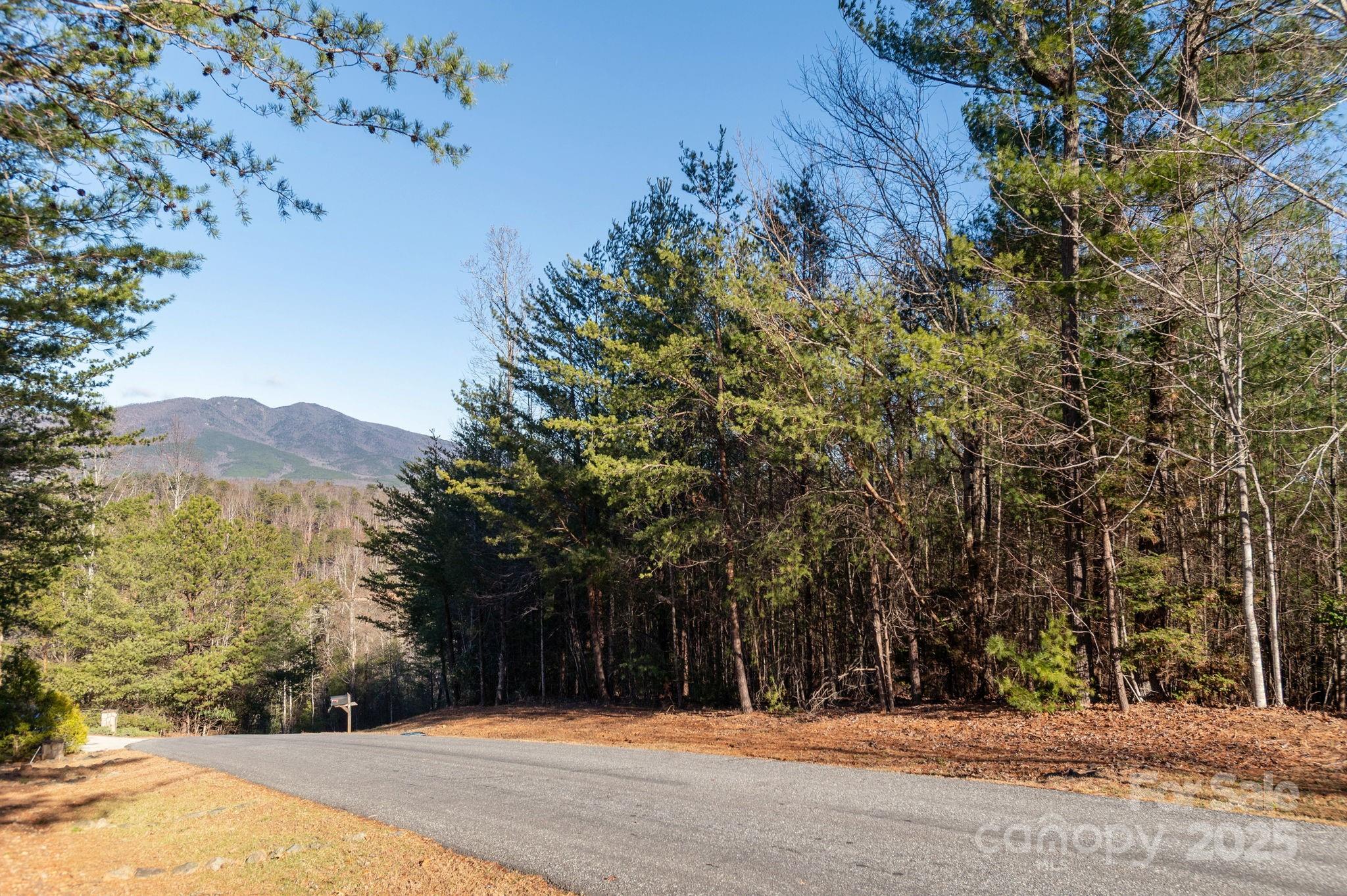 The Arbor at Lake James - Land