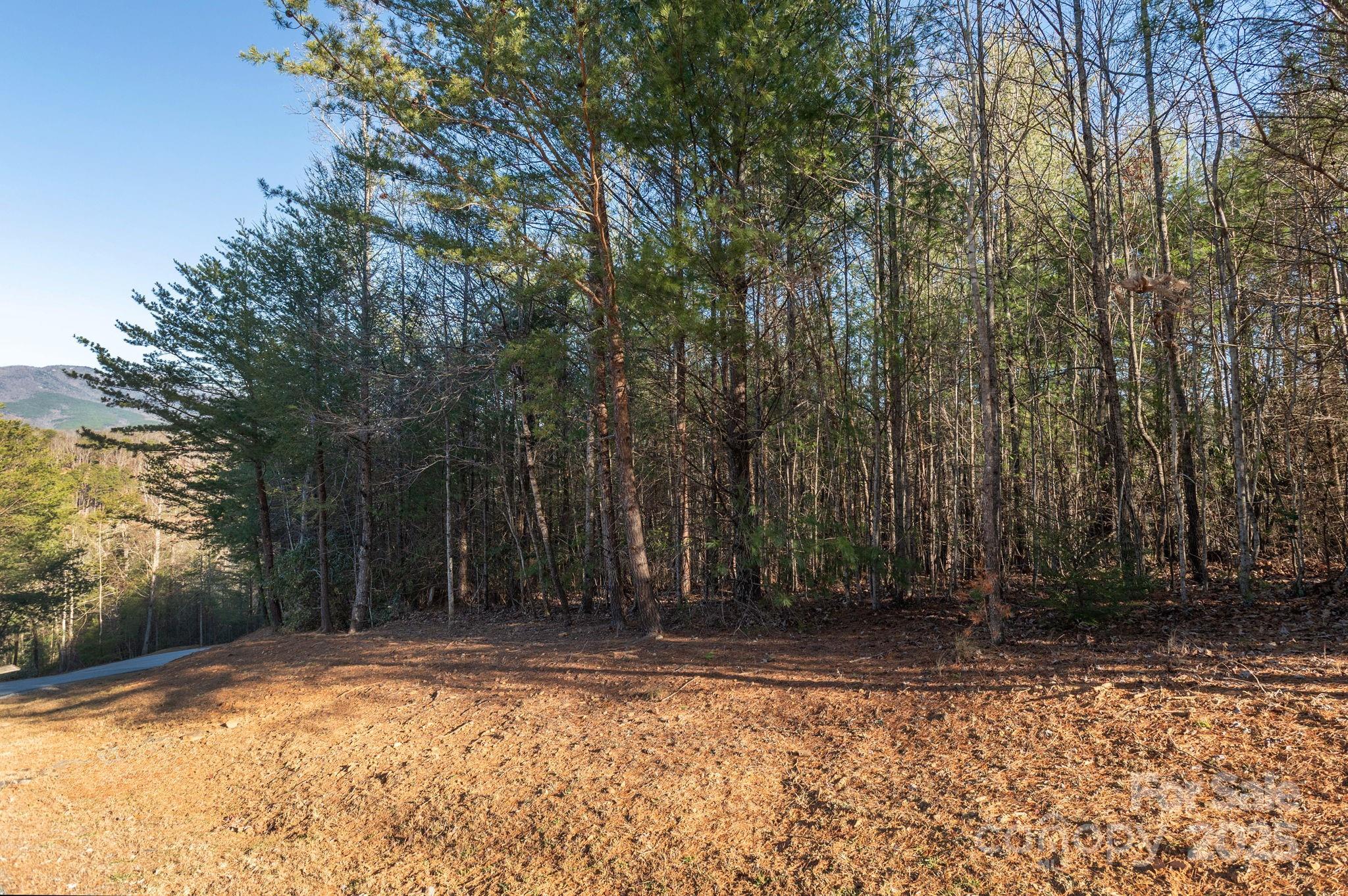 The Arbor at Lake James - Land