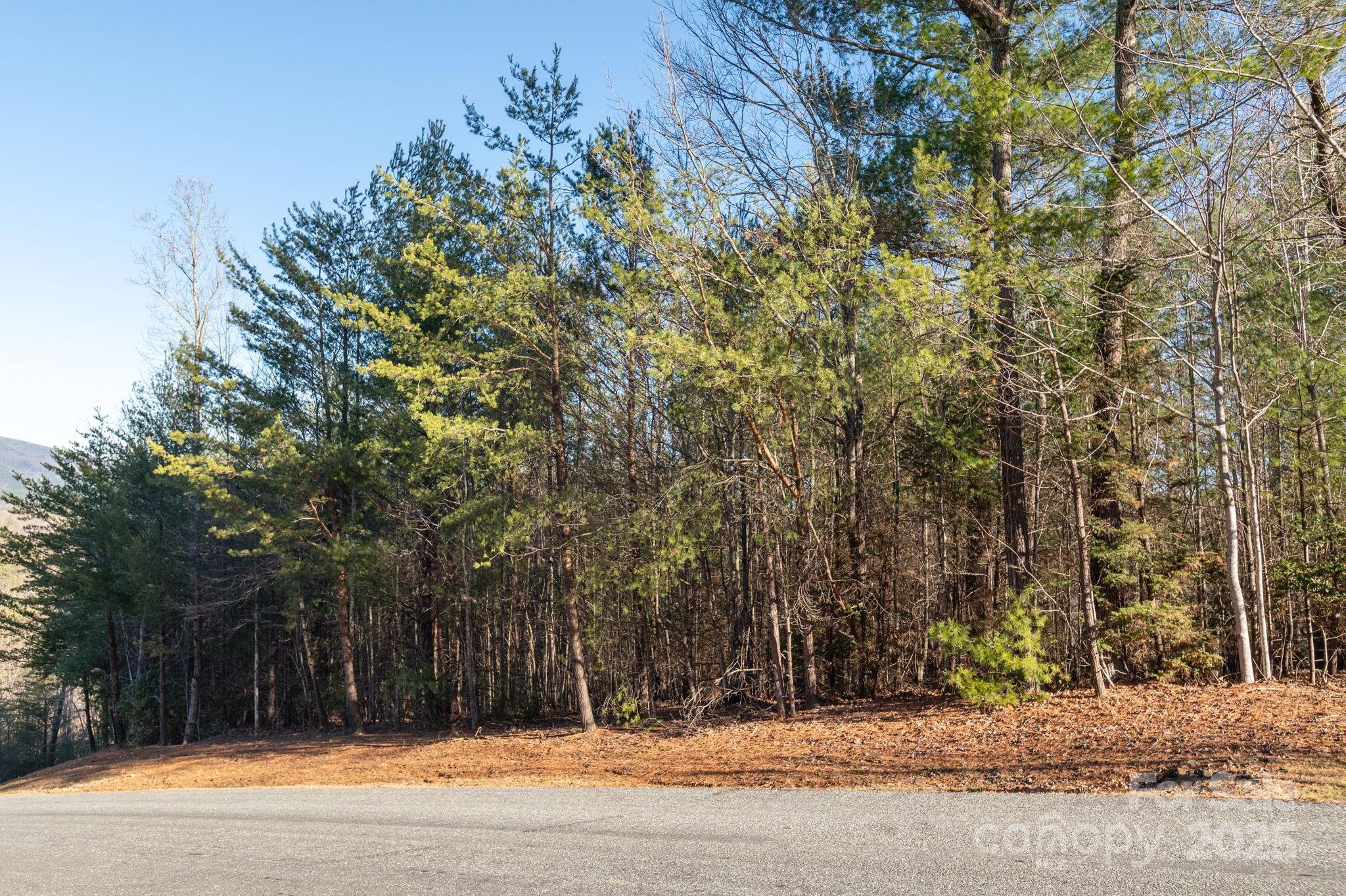 The Arbor at Lake James - Land