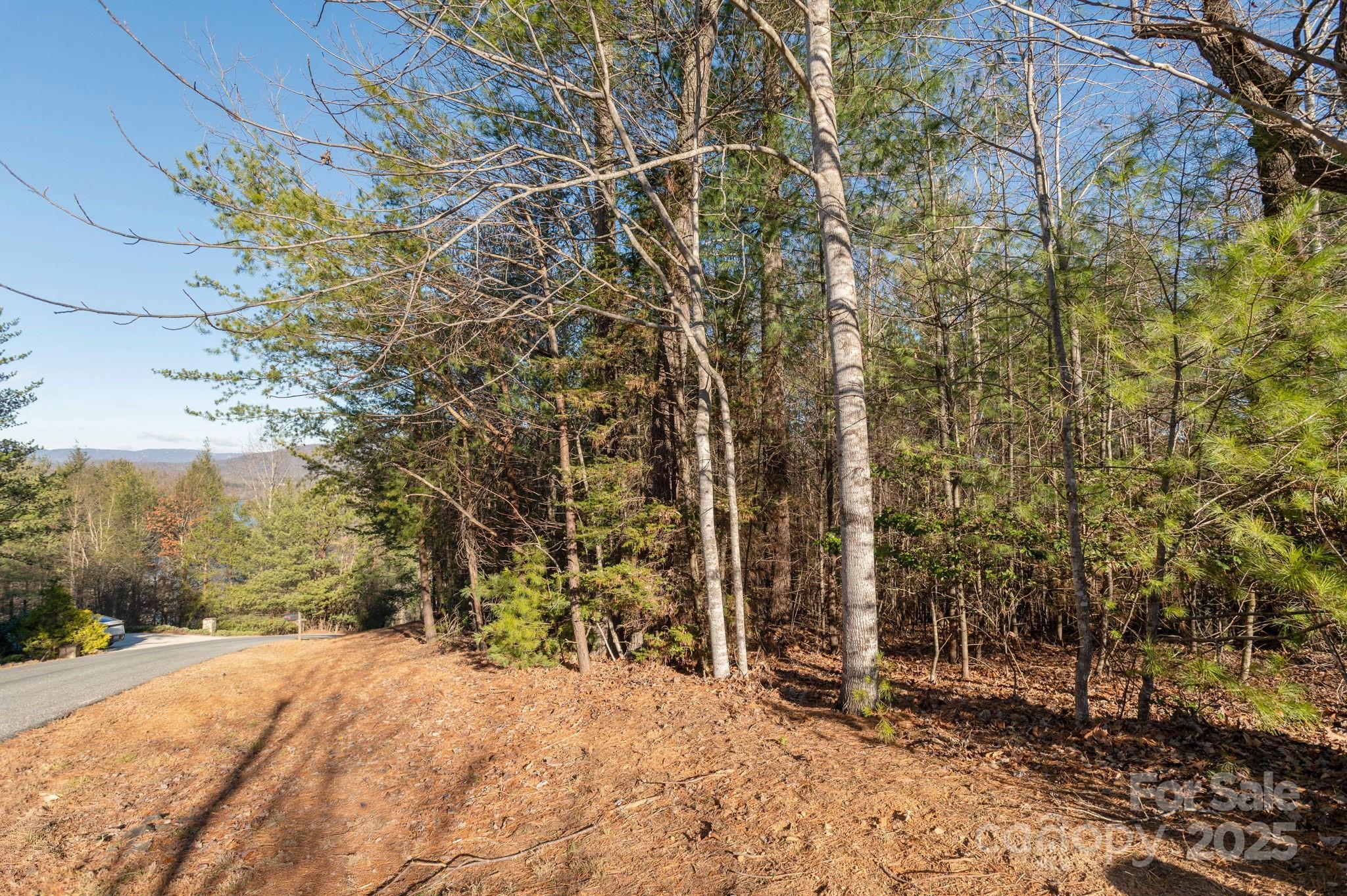 The Arbor at Lake James - Land