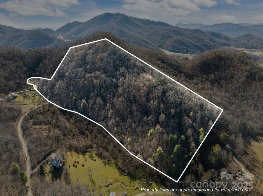 Tucked away in the heart of Fines Creek, this remarkable mountain tract offers a rare opportunity to own a true Western North Carolina retreat. Rolling ridgelines, mature hardwoods, and long-range mountain views create a setting defined by privacy, peace, and natural beauty.  The land’s size and topography make it exceptionally well-suited for a private mountain estate, legacy property, or thoughtfully designed retreat. With cleared homesite, you can position your future residence to capture breathtaking vistas while remaining completely immersed in nature. Whether your vision includes a secluded primary residence or a second-home escape, this property offers the space and flexibility to bring it to life.  Located in the idyllic Fines Creek community, you’ll enjoy the feeling of being miles away from it all while remaining convenient to Waynesville, Asheville, and Maggie Valley. The surrounding area is known for its pastoral valleys, winding country roads, and a pace of life that invites you to slow down and breathe deeply.  This is more than land, it’s an escape. A place where mornings begin with mountain sunrises, days are filled with quiet exploration, and evenings settle into unmatched stillness under a canopy of stars. Properties of this size and setting are increasingly rare don’t miss the chance to create something truly special in one of Haywood County’s most peaceful corners.