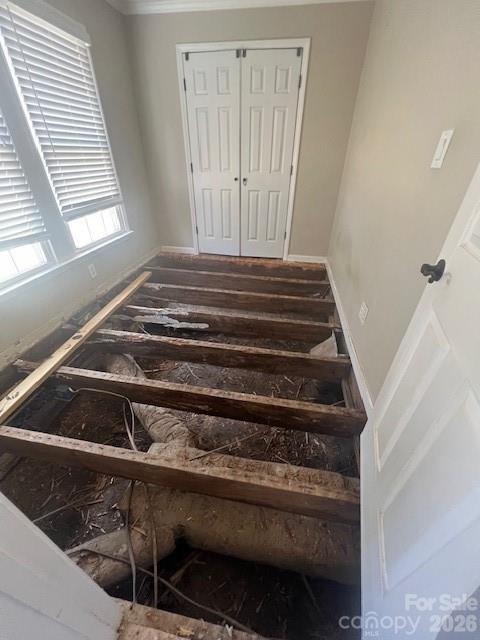 Jackson Park - Residential