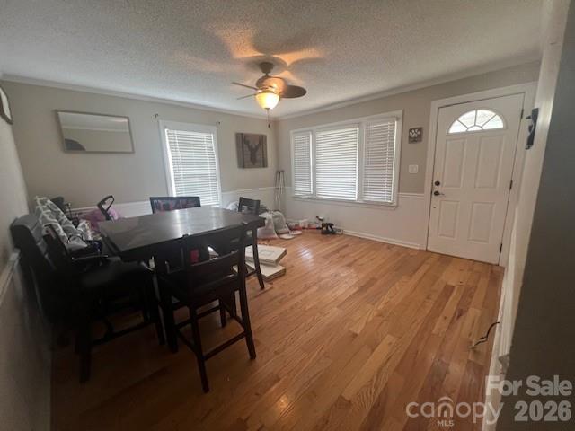 Jackson Park - Residential