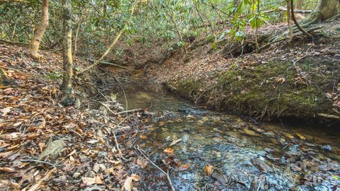 Photo of TBD All Healing Springs Road #1, Taylorsville, NC 28681 (MLS # 4365301)