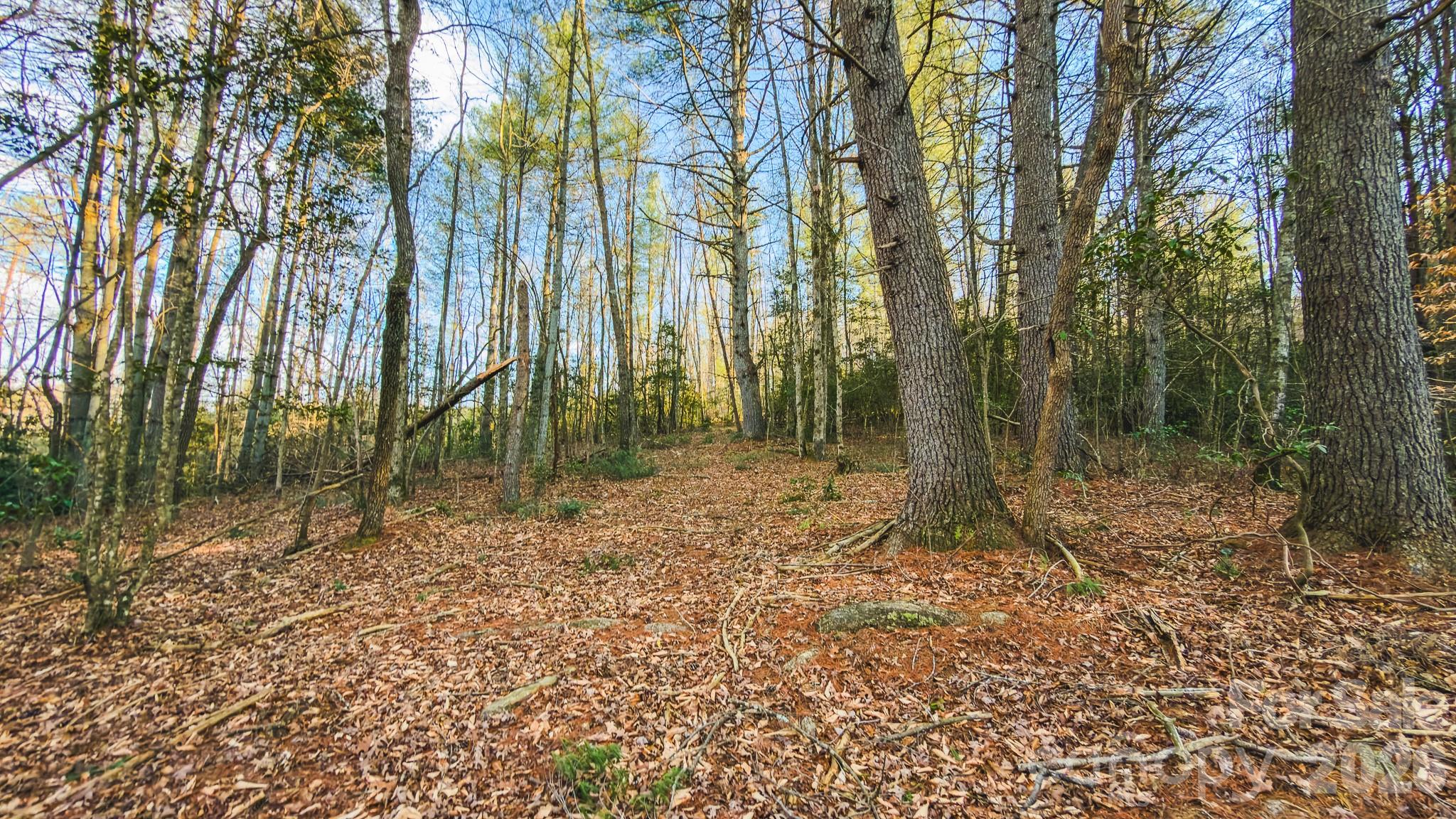 TBD All Healing Springs Road 1