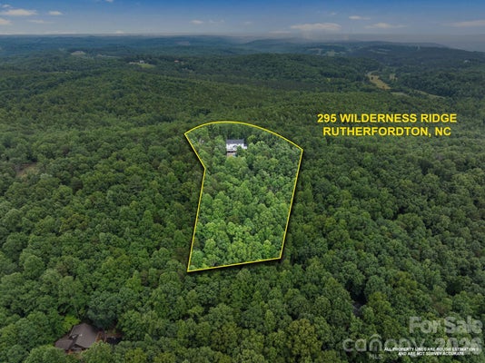 295 WILDERNESS RDG, RUTHERFORDTON, NC 28139 - Image dfa16ab90ed8d8d20a78b37da71a5207/3861923624