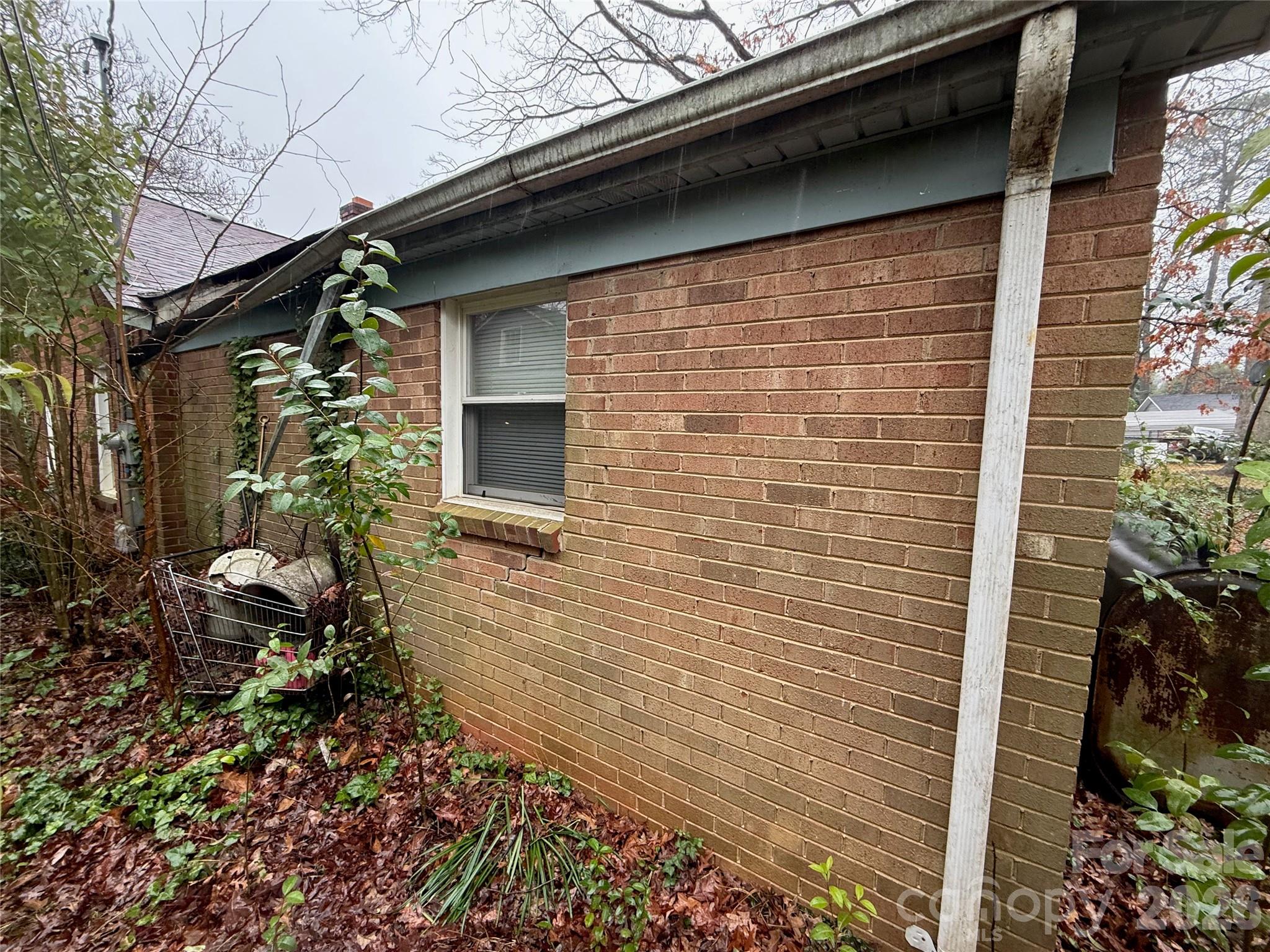 Plaza Forest - Residential