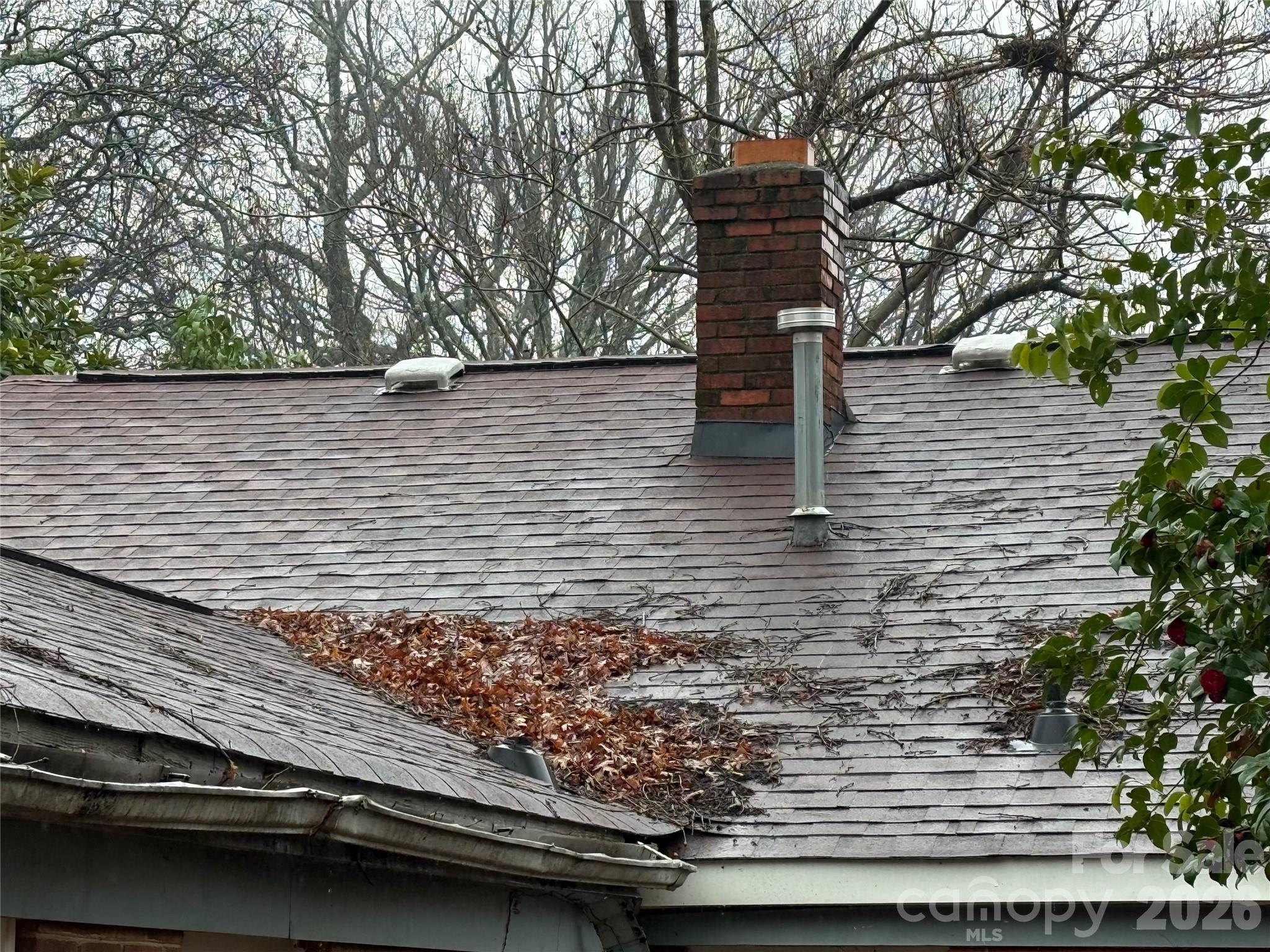 Plaza Forest - Residential