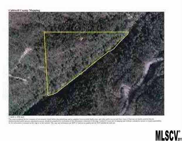 Buffalo Mountain - Land