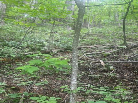 00 Cold Creek Road Canton NC 28786