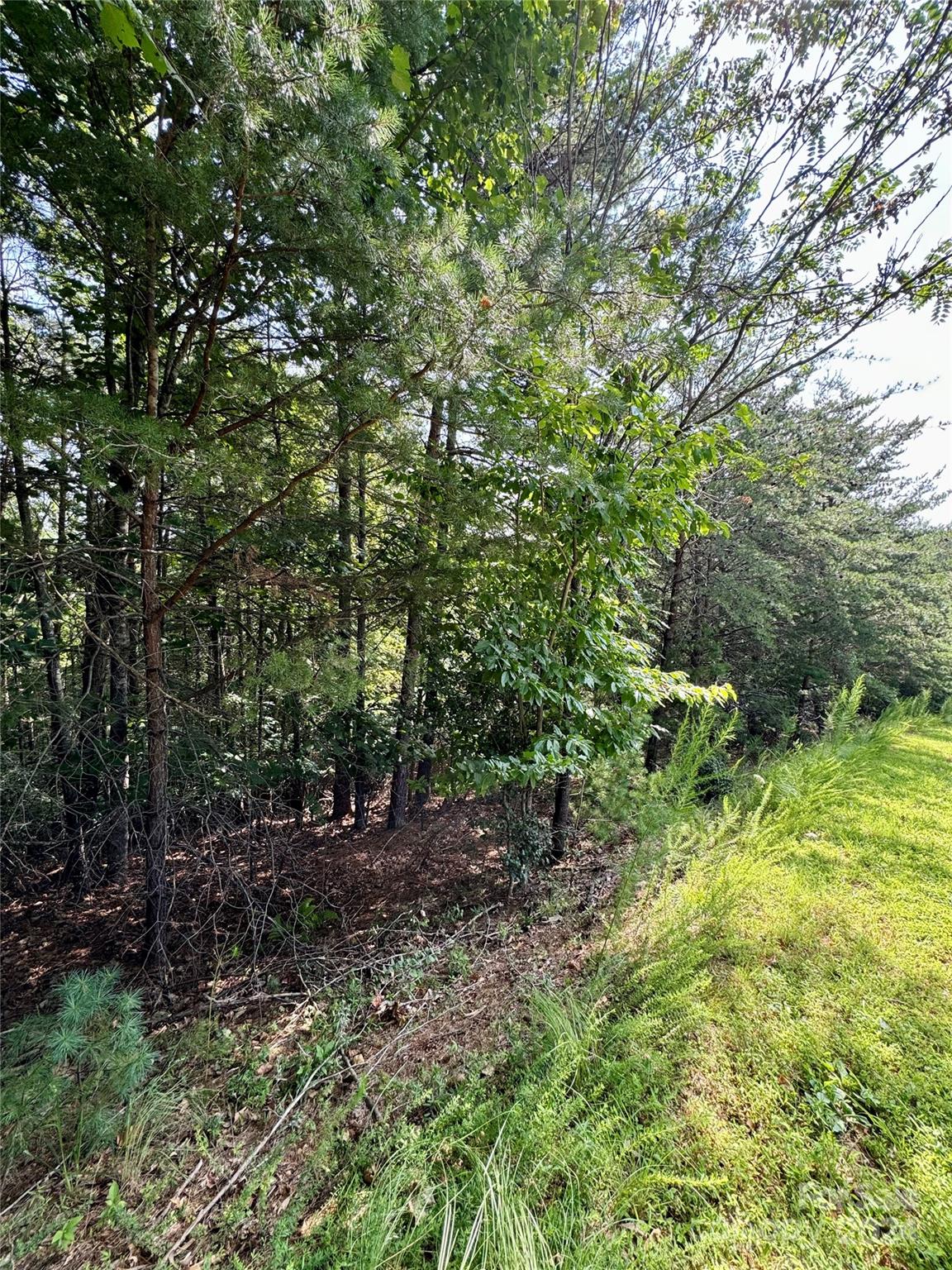 151 Cedar Ridge Drive 42