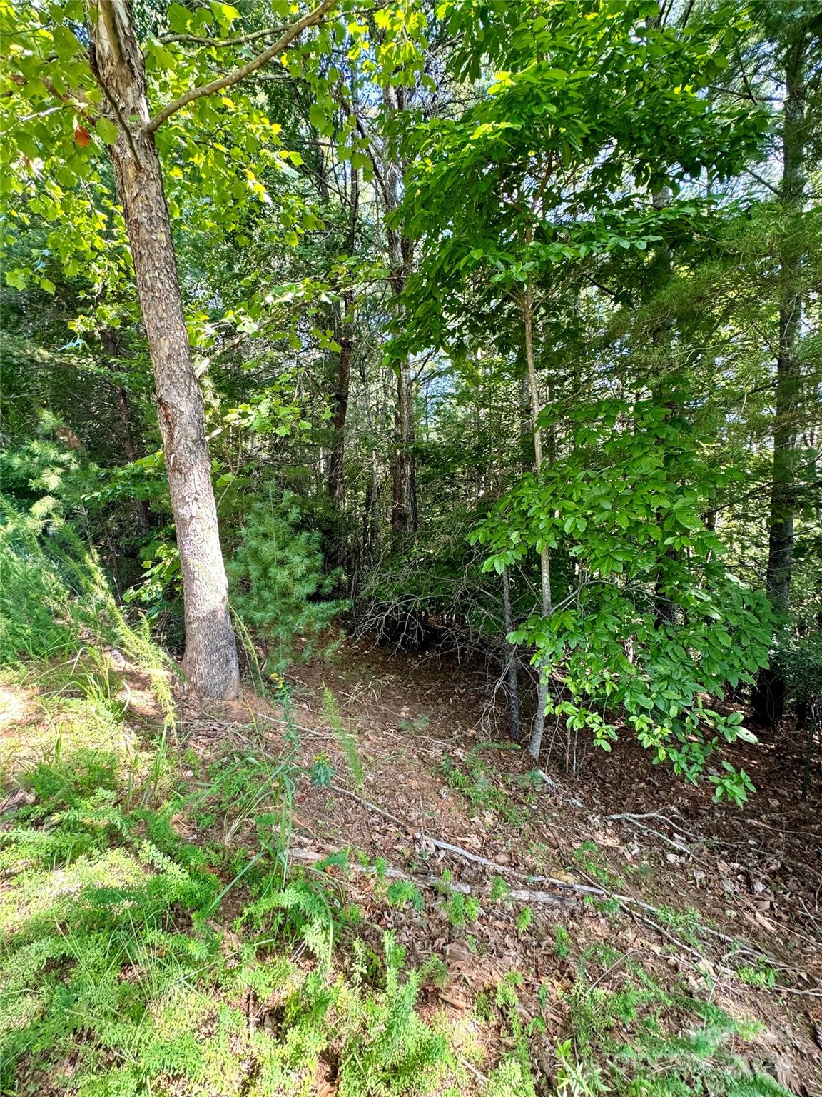 151 Cedar Ridge Drive 42